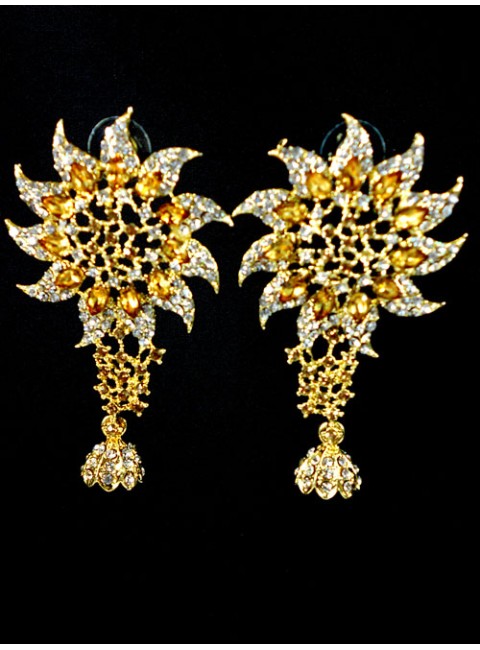 Fashion Earrings